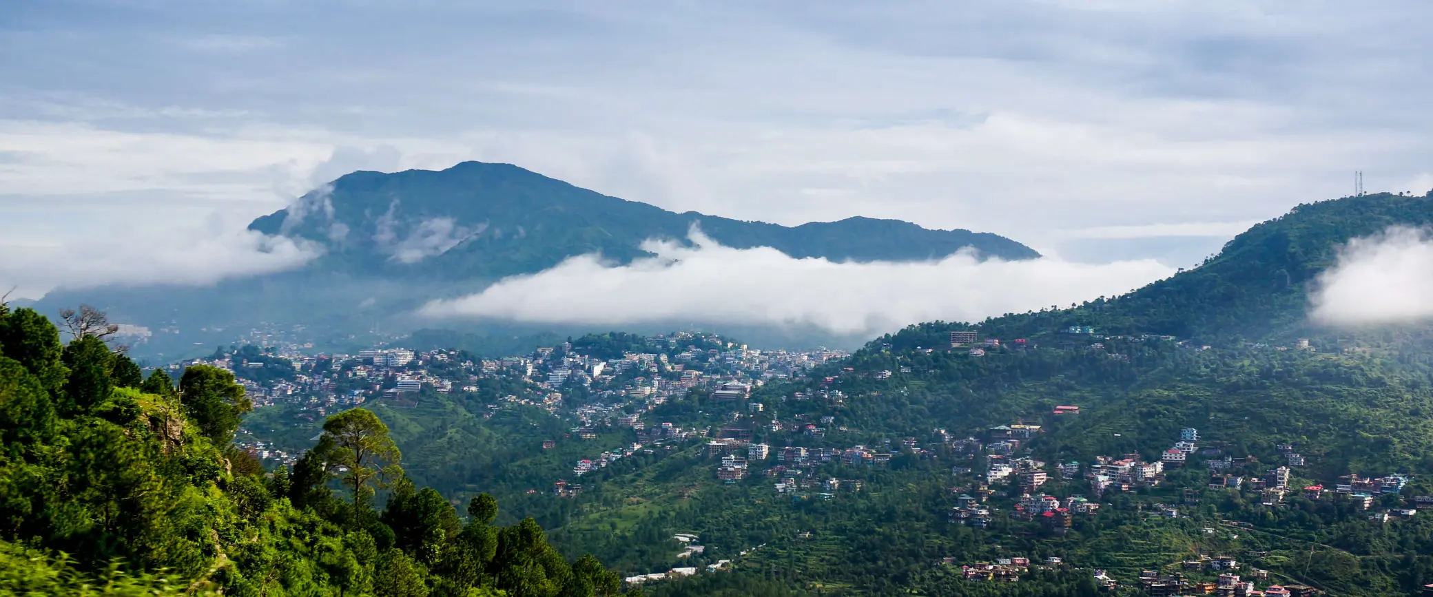 kalim1
